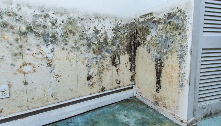 Professional mold removal, odor control, and water damage restoration service in Champaign, Illinois.