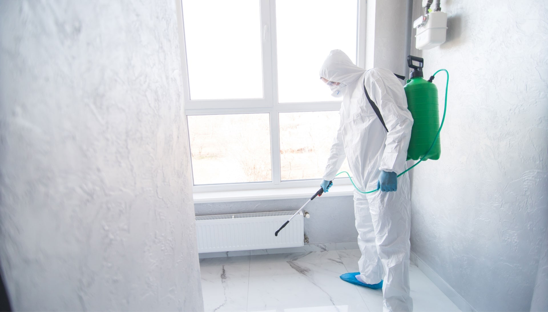 We provide the highest-quality mold inspection, testing, and removal services in the Champaign, Illinois area.